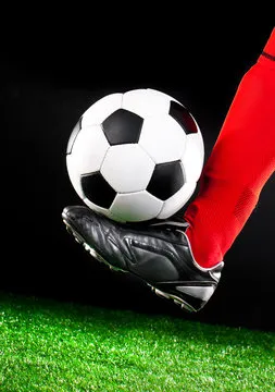 Kaiyun Sports 官方应用界面